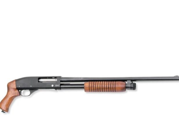 wood-shotgun